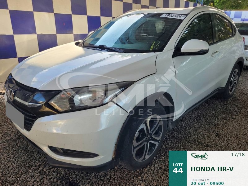 Lote 44