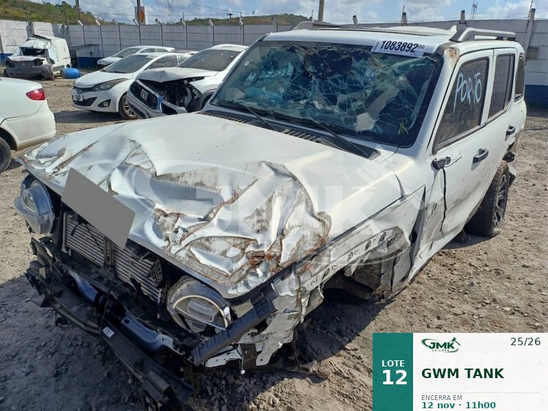 Lote 12