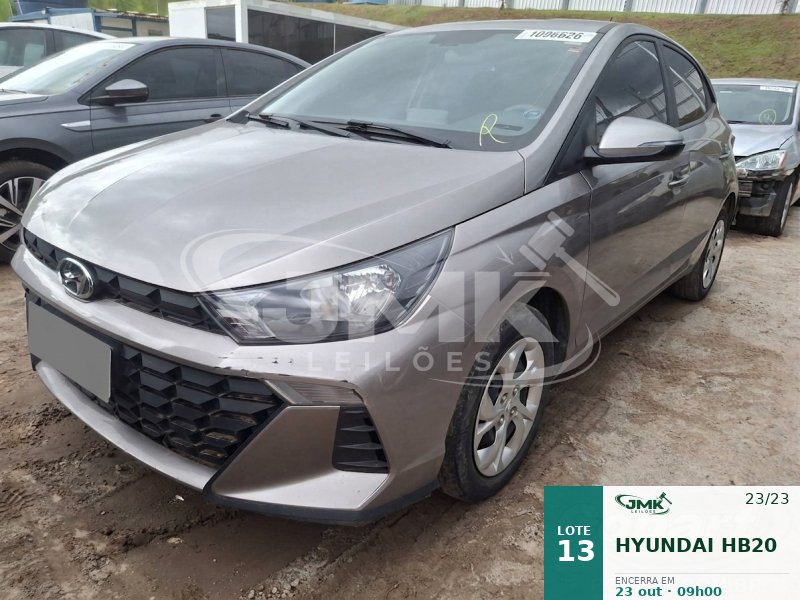 Lote 13