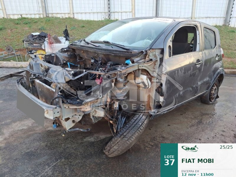 Lote 37
