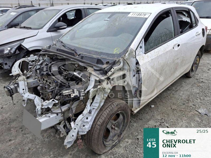 Lote 45
