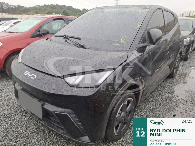 BYD DOLPHIN MINI 24/25