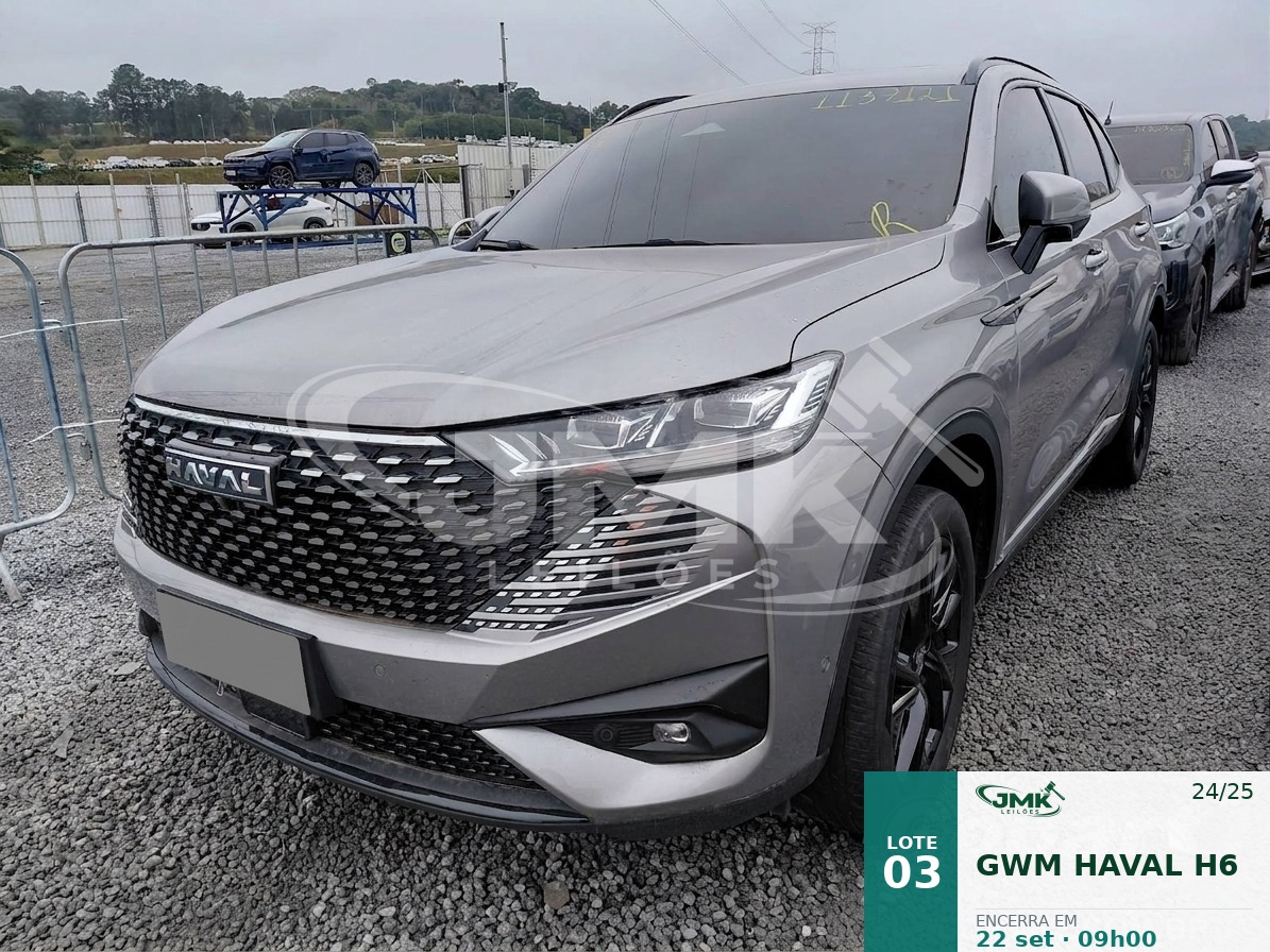 Imagem do lote