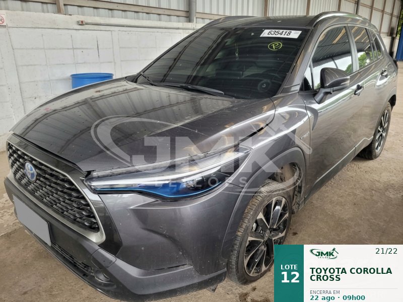 Lote 43