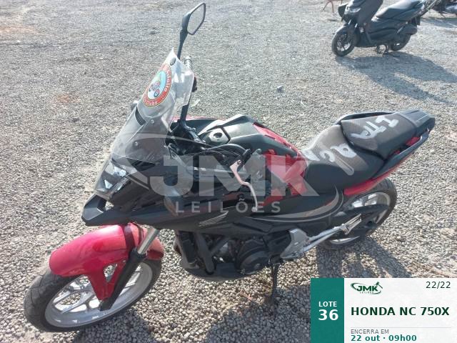 Lote 36