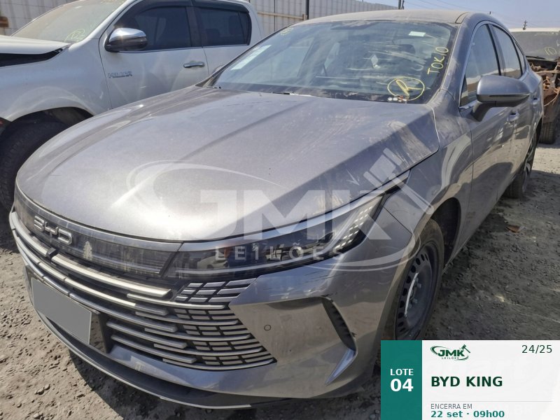 BYD KING 24/25
