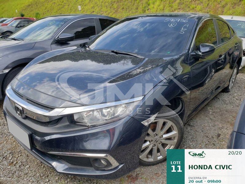 Lote 11