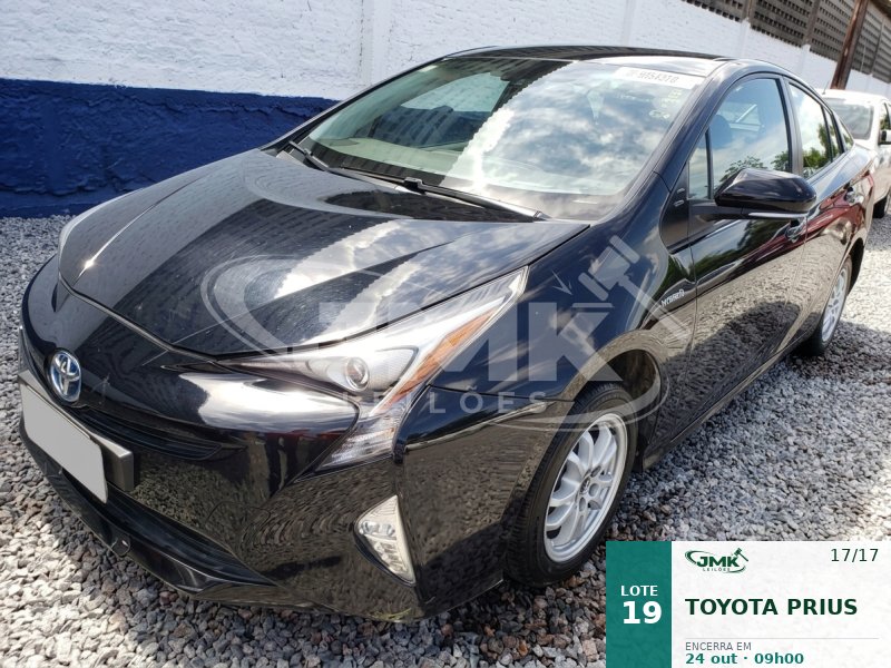 Lote 19