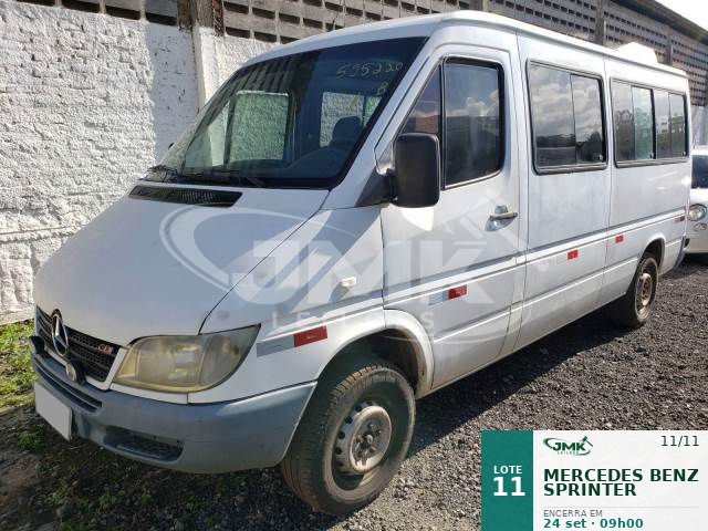 Lote 11